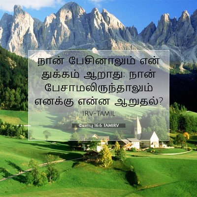 Picture 07 - யோபு 16:6 TAMIRV - நான் பேசினாலும் - Bible Verse Picture