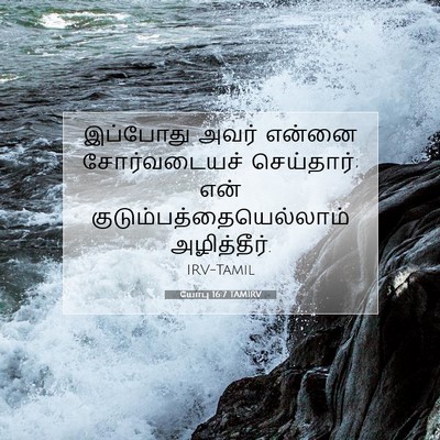 Picture 07 - யோபு 16:7 TAMIRV - இப்போது அவர் - Bible Verse Picture