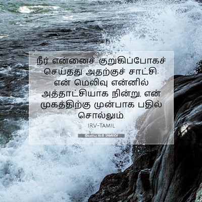 Picture 07 - யோபு 16:8 TAMIRV - நீர் என்னைச் - Bible Verse Picture
