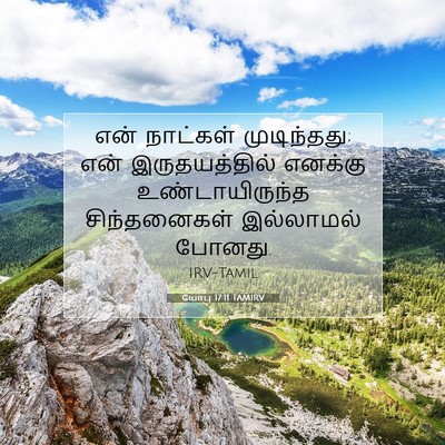 Picture 07 - யோபு 17:11 TAMIRV - என் நாட்கள் - Bible Verse Picture