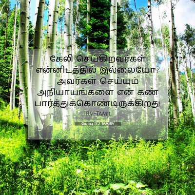 Picture 07 - யோபு 17:2 TAMIRV - கேலி - Bible Verse Picture