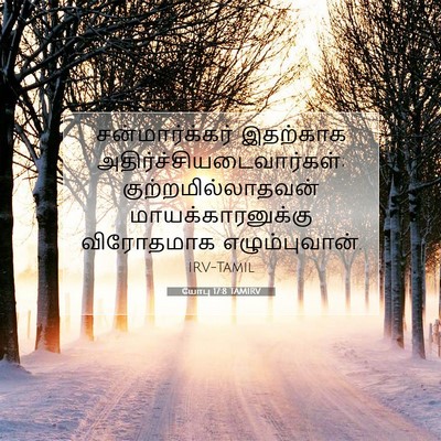 Picture 07 - யோபு 17:8 TAMIRV - சன்மார்க்கர் - Bible Verse Picture