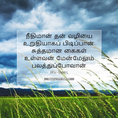 Picture 07 - யோபு 17:9 TAMIRV - நீதிமான் தன் - Bible Verse Picture