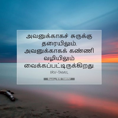 Picture 07 - யோபு 18:10 TAMIRV - அவனுக்காகச் - Bible Verse Picture