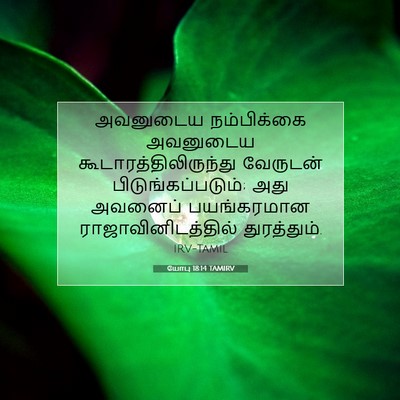 Picture 07 - யோபு 18:14 TAMIRV - அவனுடைய நம்பிக்கை - Bible Verse Picture