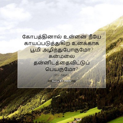 Picture 07 - யோபு 18:4 TAMIRV - கோபத்தினால் உன்னை - Bible Verse Picture