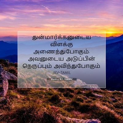 Picture 07 - யோபு 18:5 TAMIRV - துன்மார்க்கனுடைய - Bible Verse Picture
