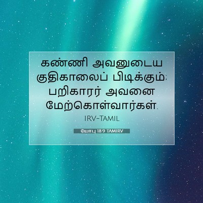 Picture 07 - யோபு 18:9 TAMIRV - கண்ணி அவனுடைய - Bible Verse Picture