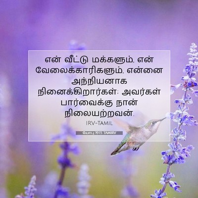 Picture 07 - யோபு 19:15 TAMIRV - என் வீட்டு - Bible Verse Picture