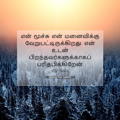 Picture 07 - யோபு 19:17 TAMIRV - என் மூச்சு என் - Bible Verse Picture