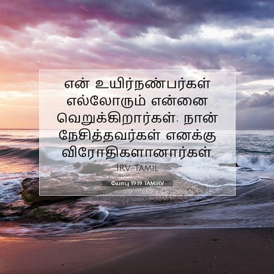 Picture 07 - யோபு 19:19 TAMIRV - என் - Bible Verse Picture