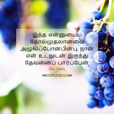 Picture 07 - யோபு 19:26 TAMIRV - இந்த என்னுடைய - Bible Verse Picture