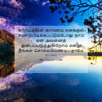 Picture 07 - யோபு 19:28 TAMIRV - காரியத்தின் - Bible Verse Picture