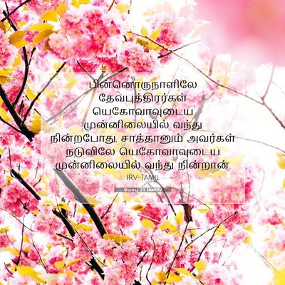 Picture 07 - யோபு 2:1 TAMIRV - பின்னொருநாளிலே - Bible Verse Picture