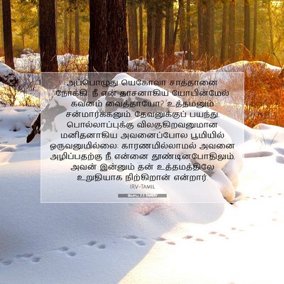Picture 07 - யோபு 2:3 TAMIRV - அப்பொழுது யெகோவா - Bible Verse Picture