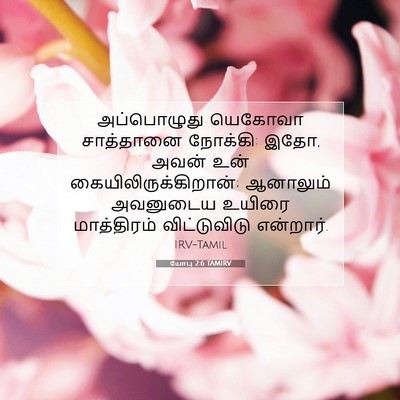 Picture 07 - யோபு 2:6 TAMIRV - அப்பொழுது யெகோவா - Bible Verse Picture