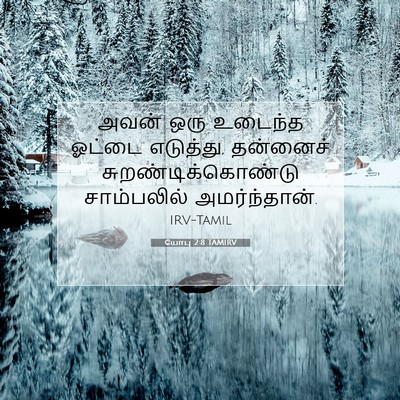 Picture 07 - யோபு 2:8 TAMIRV - அவன் ஒரு உடைந்த - Bible Verse Picture