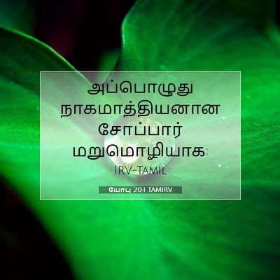Picture 07 - யோபு 20:1 TAMIRV - அப்பொழுது - Bible Verse Picture