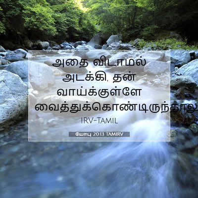 Picture 07 - யோபு 20:13 TAMIRV - அதை விடாமல் - Bible Verse Picture