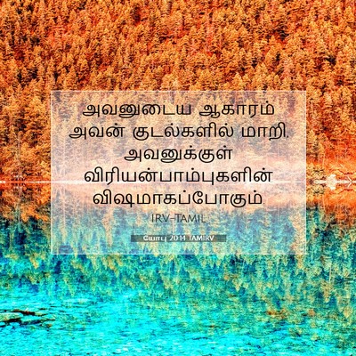 Picture 07 - யோபு 20:14 TAMIRV - அவனுடைய ஆகாரம் - Bible Verse Picture