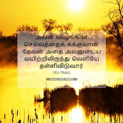 Picture 07 - யோபு 20:15 TAMIRV - அவன் விழுங்கின - Bible Verse Picture