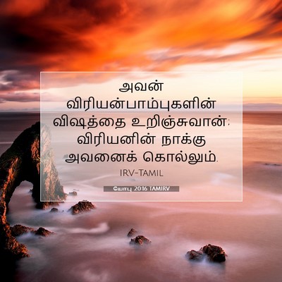 Picture 07 - யோபு 20:16 TAMIRV - அவன் - Bible Verse Picture