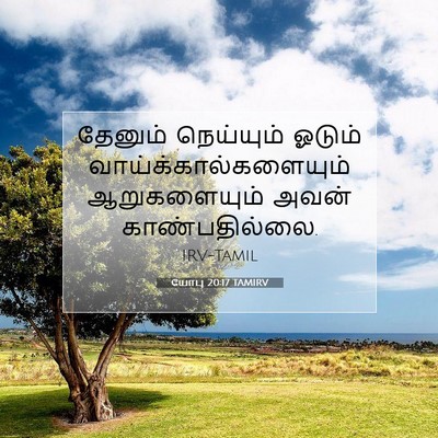 Picture 07 - யோபு 20:17 TAMIRV - தேனும் நெய்யும் - Bible Verse Picture