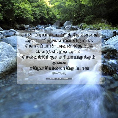 Picture 07 - யோபு 20:18 TAMIRV - தான் - Bible Verse Picture