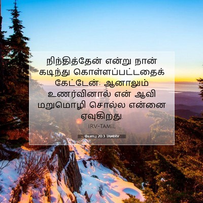 Picture 07 - யோபு 20:3 TAMIRV - நிந்தித்தேன் - Bible Verse Picture