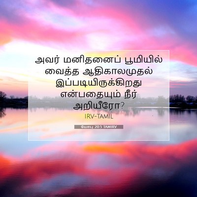 Picture 07 - யோபு 20:5 TAMIRV - அவர் மனிதனைப் - Bible Verse Picture