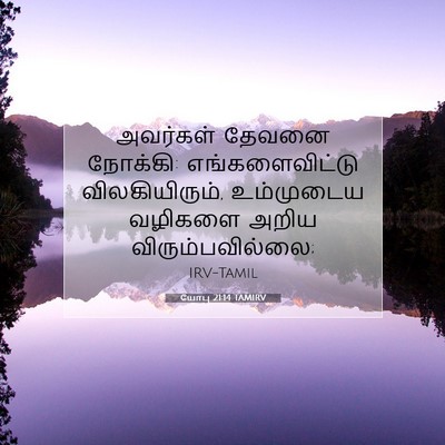 Picture 07 - யோபு 21:14 TAMIRV - அவர்கள் தேவனை - Bible Verse Picture
