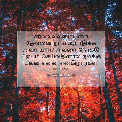 Picture 07 - யோபு 21:15 TAMIRV - சர்வவல்லமையுள்ள - Bible Verse Picture