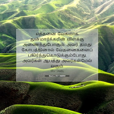 Picture 07 - யோபு 21:17 TAMIRV - எத்தனை வேகமாக - Bible Verse Picture