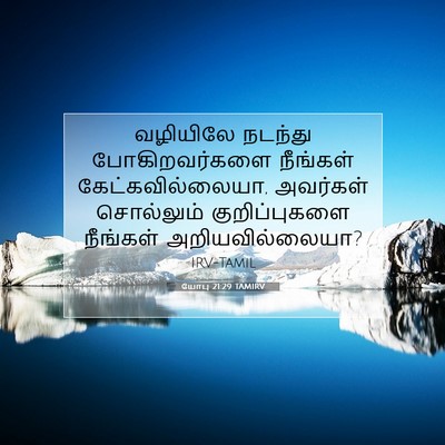 Picture 07 - யோபு 21:29 TAMIRV - வழியிலே நடந்து - Bible Verse Picture