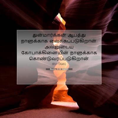 Picture 07 - யோபு 21:30 TAMIRV - துன்மார்க்கன் - Bible Verse Picture