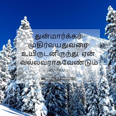 Picture 07 - யோபு 21:7 TAMIRV - துன்மார்க்கர் - Bible Verse Picture