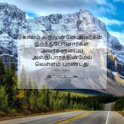 Picture 07 - யோபு 22:16 TAMIRV - காலம் வருமுன்னே - Bible Verse Picture