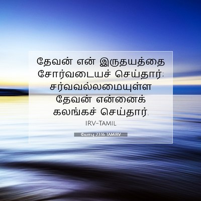 Picture 07 - யோபு 23:16 TAMIRV - தேவன் என் - Bible Verse Picture