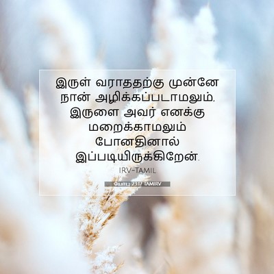 Picture 07 - யோபு 23:17 TAMIRV - இருள் வராததற்கு - Bible Verse Picture