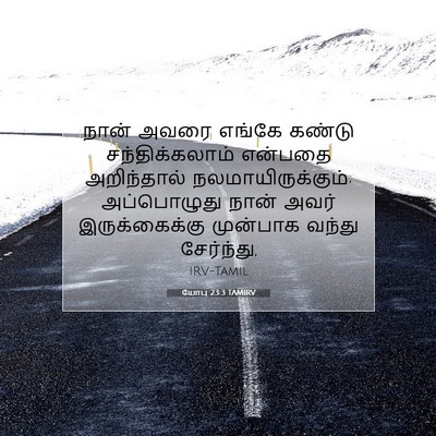 Picture 07 - யோபு 23:3 TAMIRV - நான் அவரை எங்கே - Bible Verse Picture