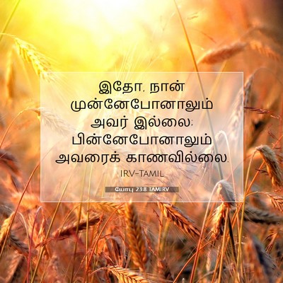 Picture 07 - யோபு 23:8 TAMIRV - இதோ, நான் - Bible Verse Picture