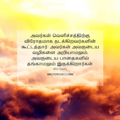 Picture 07 - யோபு 24:13 TAMIRV - அவர்கள் - Bible Verse Picture