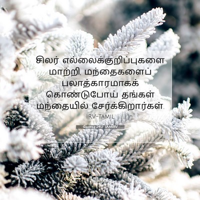 Picture 07 - யோபு 24:2 TAMIRV - சிலர் - Bible Verse Picture
