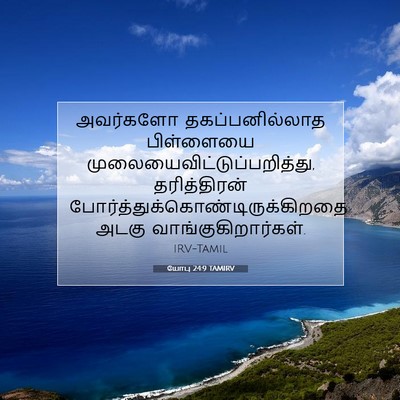Picture 07 - யோபு 24:9 TAMIRV - அவர்களோ - Bible Verse Picture