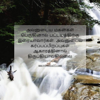 Picture 07 - யோபு 27:14 TAMIRV - அவனுடைய மகன்கள் - Bible Verse Picture