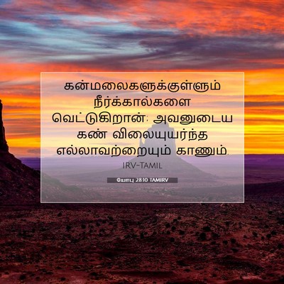Picture 07 - யோபு 28:10 TAMIRV -  - Bible Verse Picture