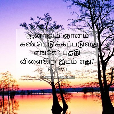 Picture 07 - யோபு 28:12 TAMIRV - ஆனாலும் ஞானம் - Bible Verse Picture