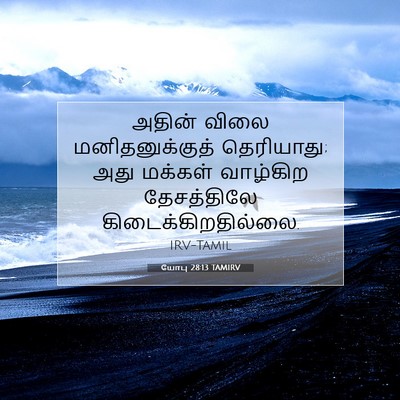 Picture 07 - யோபு 28:13 TAMIRV - அதின் விலை - Bible Verse Picture