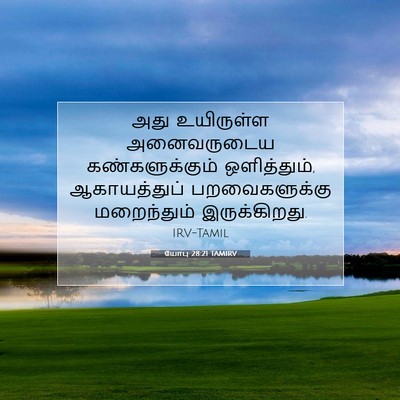 Picture 07 - யோபு 28:21 TAMIRV - அது உயிருள்ள - Bible Verse Picture