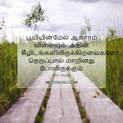 Picture 07 - யோபு 28:5 TAMIRV - பூமியின்மேல் - Bible Verse Picture